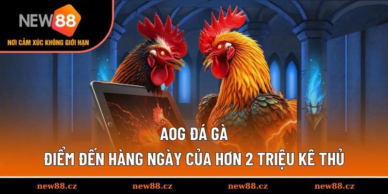AOG Đá Gà - Điểm Đến Hàng Ngày Của Hơn 2 Triệu Kê Thủ