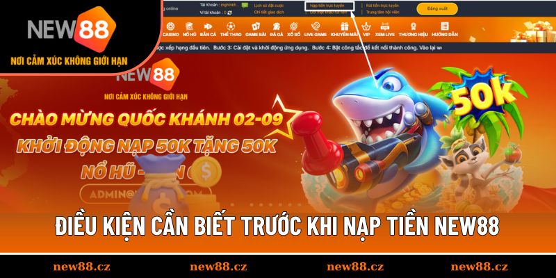 Yêu cầu quan trọng khi nạp tiền NEW88