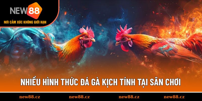 Nhiều hình thức đá gà kịch tính tại sân chơi