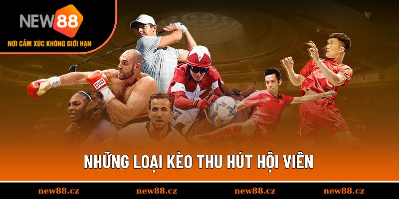 Những loại kèo thu hút hội viên