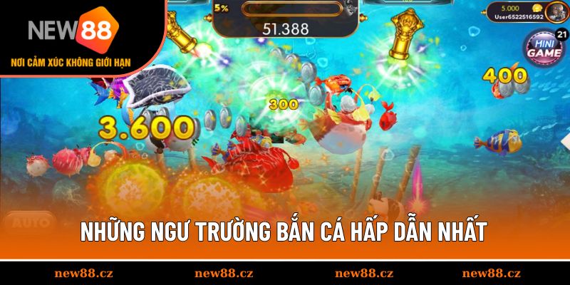 Những ngư trường bắn cá hấp dẫn nhất